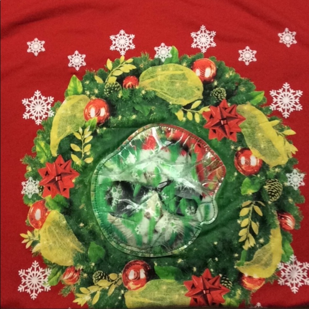 Ugly Cat Christmas short sleeve T-Shirt Size Sm Brand Name: Well Worn
